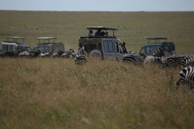 7 Days Private Serengeti Wildebeest Migration Tour - Day 2: Elephants and baobabs in Tarangire