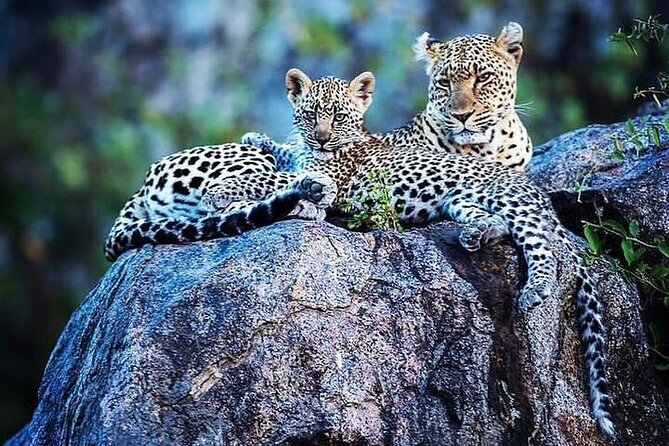 7 Days Rhino Ngorongoro Crater Safari Tour - The final morning and airport transfer
