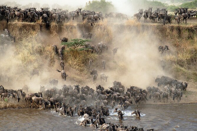 7 days safaris to see great migration - Days 4 and 5: Ndutu is the trip’s main migration bet
