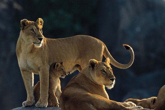 7 Days Tanzania Luxury Safaris - Why this route works so well in seven days