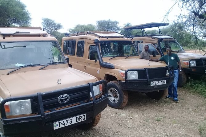 7 Days Tanzania Mid-range lodge safari - What the $3,300 price really covers