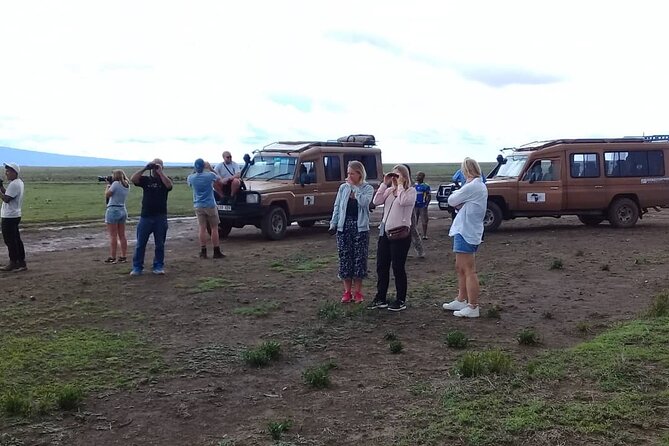 7 Days Tanzania Mid-range lodge safari - Day 4: Olduvai Gorge breaks up the road to Serengeti