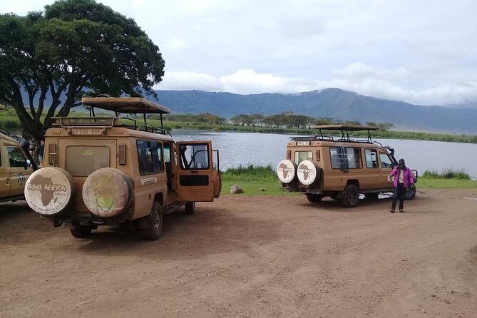 7 Days Tanzania Mid-range lodge safari - The guide can make or break the experience