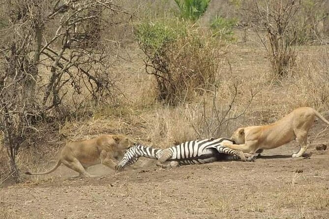7 Days Tour Northern Tanzania Safari: - Day 7: Arusha National Park and Ngurdoto Crater