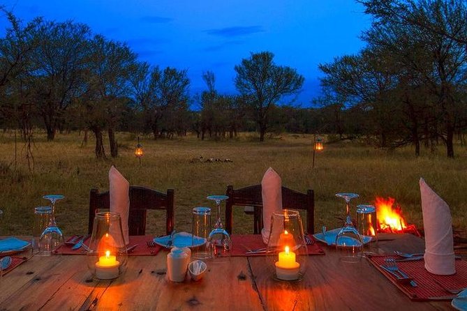 7Day Serengeti Migration (Ndutu), Crater, Hot Springs & City Tour - Day 4: Wildlife inside Ngorongoro Crater