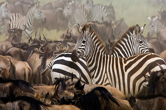 7Day Serengeti Migration (Ndutu), Crater, Hot Springs & City Tour - Day 7: Materuni Waterfalls and Chemka Hot Springs