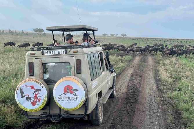 7Day Serengeti Migration (Ndutu), Crater, Hot Springs & City Tour - Day 1: A quiet start at Arusha Serena Hotel