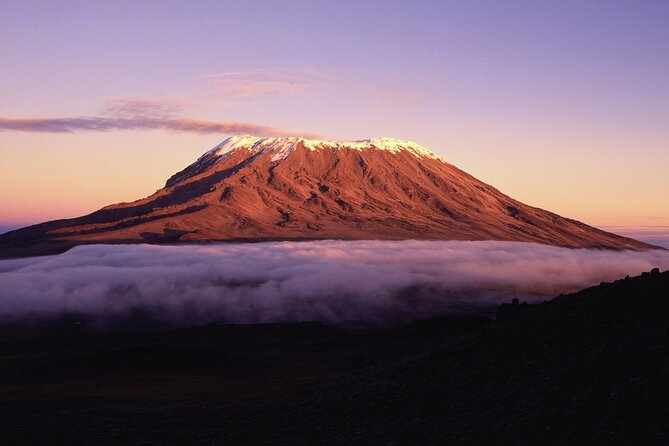 8 Day Climbing Kilimanjaro Via Lemosho Route - Why Lemosho is a good route choice