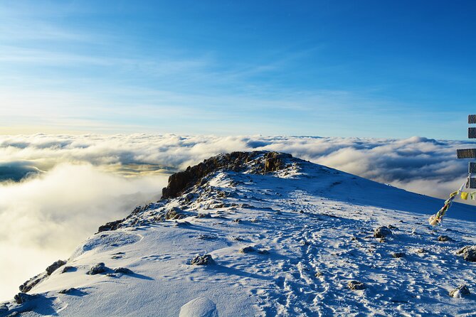 8 Day Climbing Kilimanjaro Via Lemosho Route - Day 6: Barafu Camp and the final rest