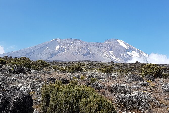 8 Day Kilimanjaro Lemosho Climb - Day 4: Lava Tower and the descent to Barranco