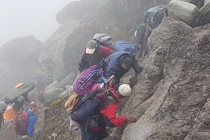 8 Day Kilimanjaro Lemosho Climb - Day 6: A short walk to summit camp