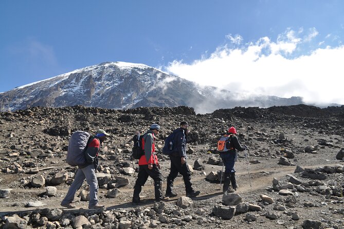 8 Day Kilimanjaro Lemosho Climb - Day 7: Stella Point, Uhuru Peak, and the long descent