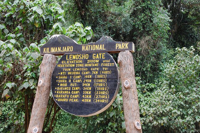 8 Day Kilimanjaro Lemosho Climb - Day 2: Heather, moorland, and Shira Ridge