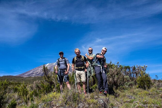 8 Day Kilimanjaro Private Climb via Lemosho Route - Day 3: From rainforest to Shira 2 Camp