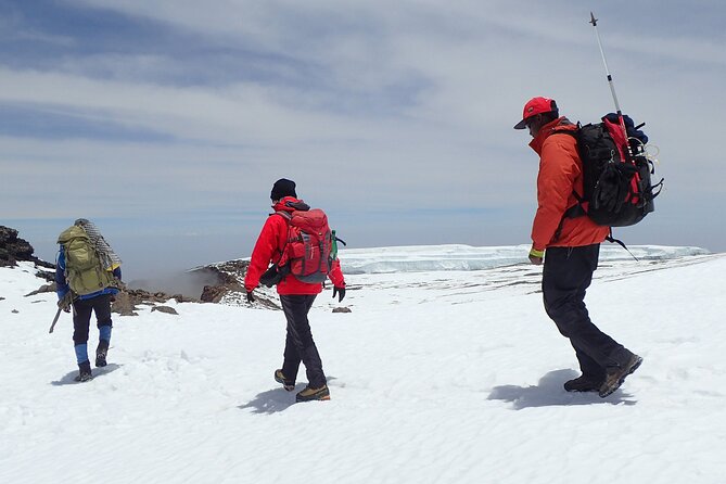 8 Day Kilimanjaro Private Climb via Lemosho Route - Day 4: Lava Tower, altitude symptoms, and Barranco
