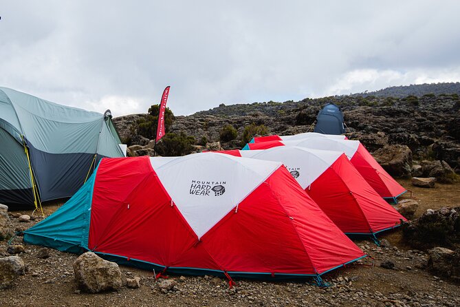 8 Day Kilimanjaro Trek via Lemosho Route - Key points at a glance