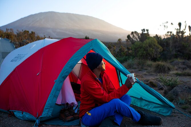 8 Day Kilimanjaro Trek via Lemosho Route - Day 6: The Barranco Wall to Karanga Camp