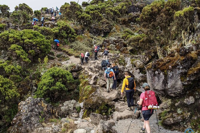 8 Day Mount Kilimanjaro Trekking Lemosho Route - Day 6: Barafu Camp and the final rest before the summit