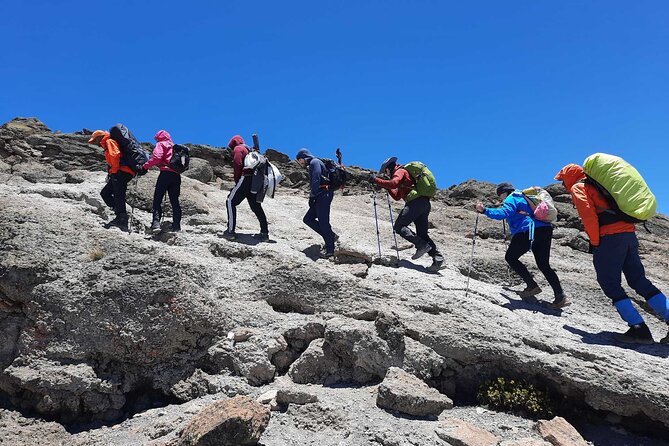 8 Day Mount Kilimanjaro Trekking Lemosho Route - Day 2: Crossing the Shira Ridge