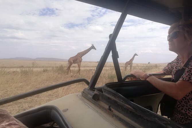 8-Day Private Guided Tanzania Safari with Pick Up - Arriving in Arusha and Getting Oriented