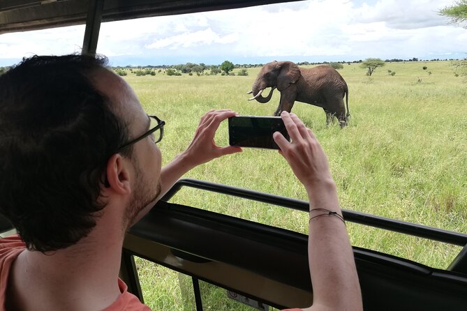 8-Day Private Guided Tanzania Safari with Pick Up - Leaving the Serengeti and Choosing Olduvai or Maasai Culture
