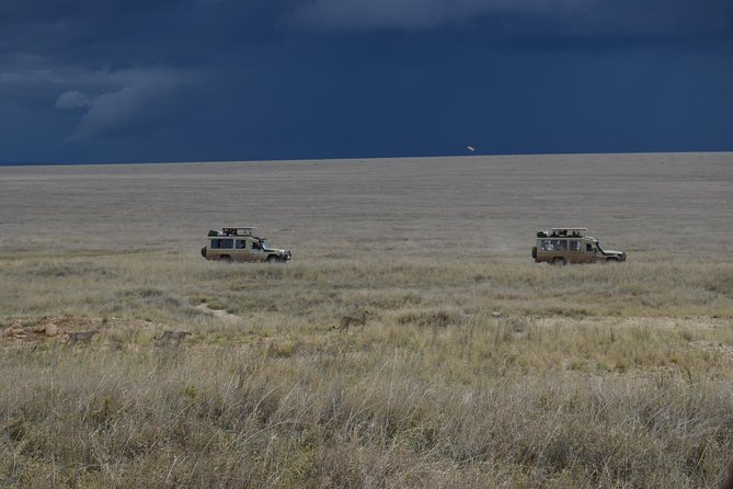 8 Day private wildebeest migration safari Serengeti Ngorongoro - Day 8: Materuni Waterfalls, coffee, and Chemka Hot Spring