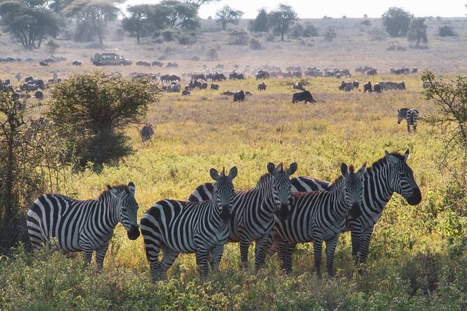 8 Day Safari The Best of Tanzania & Lake Eyasi - Arriving in Arusha and settling into safari time