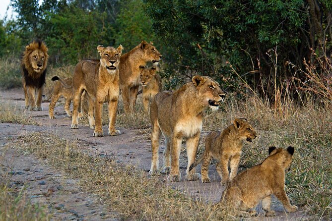 8 Day Safari The Best of Tanzania & Lake Eyasi - Crossing the Ngorongoro Highlands toward the Serengeti