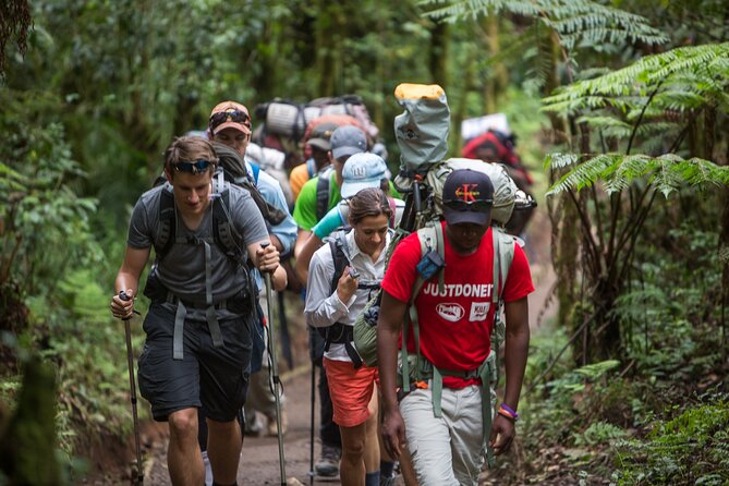 8-Day Small-group Lemosho Kilimanjaro Summit Trekking - Day 3: Exploring Shira at 13,800 Feet