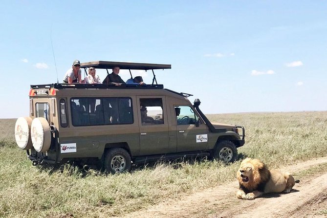 8 Day Spectacular Migration Serengeti mid -Range Tanzania Safari - Why this route works so well