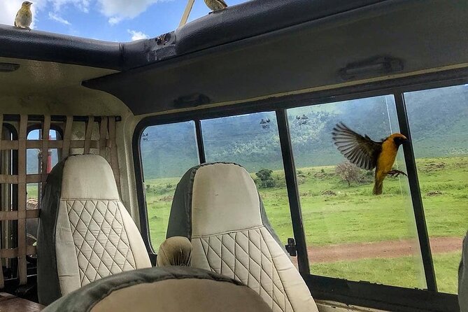8-Day Tanzania Private Safari Tour with Airport Pickup - A practical look at the eight-day route