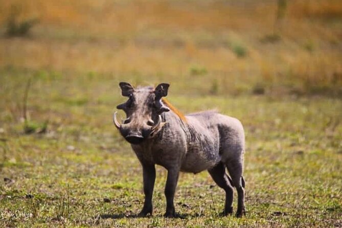 8-Day Tanzania Private Safari Tour with Airport Pickup - Day 3: Lake Manyara beneath the Rift Valley wall