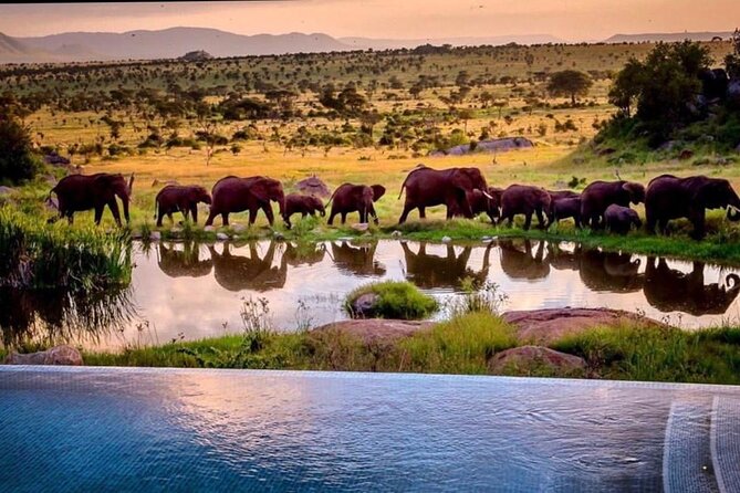 8-Day Tanzania Private Safari Tour with Airport Pickup - Day 7: Ngorongoro’s crater-floor safari