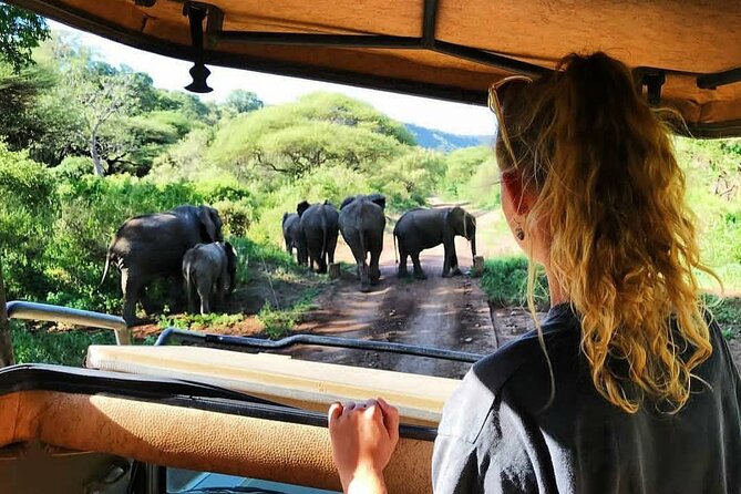 8-Day Tanzania Private Safari Tour with Airport Pickup - Day 1: A soft landing near Kilimanjaro