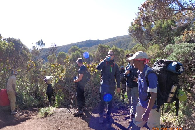 8 Days 7 Nights Kilimanjaro Lemosho Route - Why the Lemosho Route earns its reputation