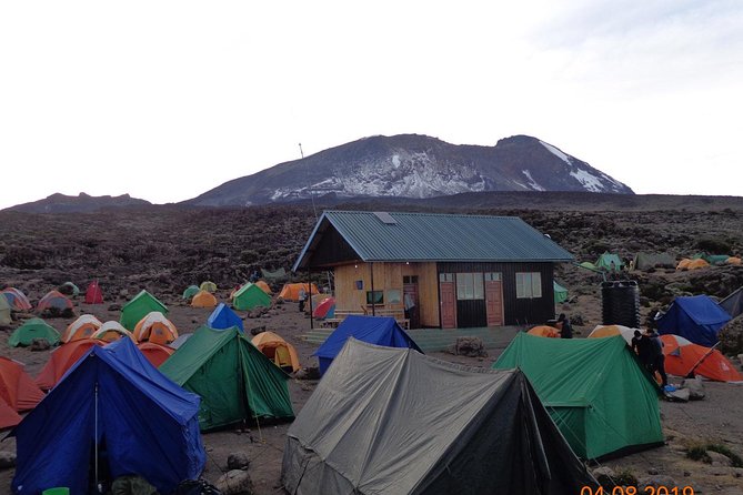 8 Days 7 Nights Kilimanjaro Lemosho Route - Day one: from Moshi to the rain forest