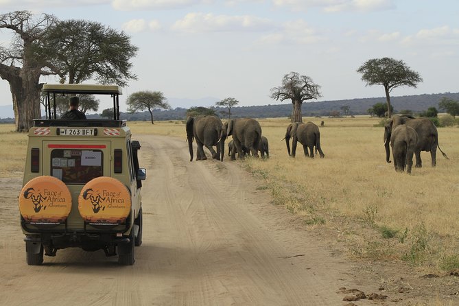 8 Days 7 Nights Private Lodge Safari - Key points at a glance