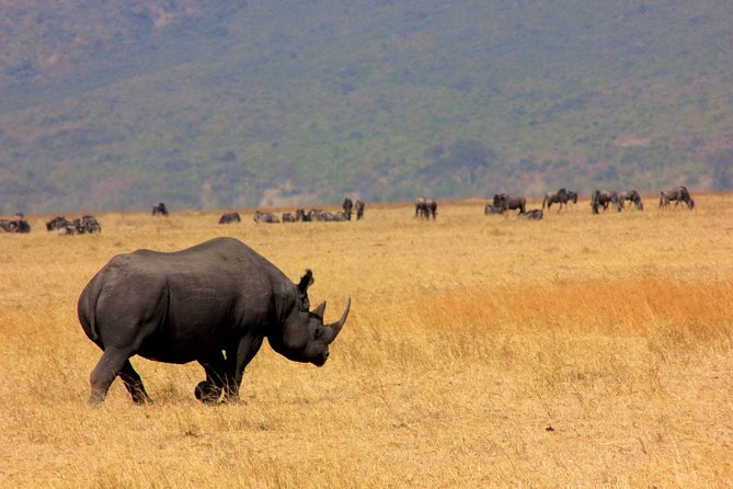 8 Days 7 Nights Tanzania Wildlife & Culture Lodge Safari - Day 2: Tarangire and its permanent river water