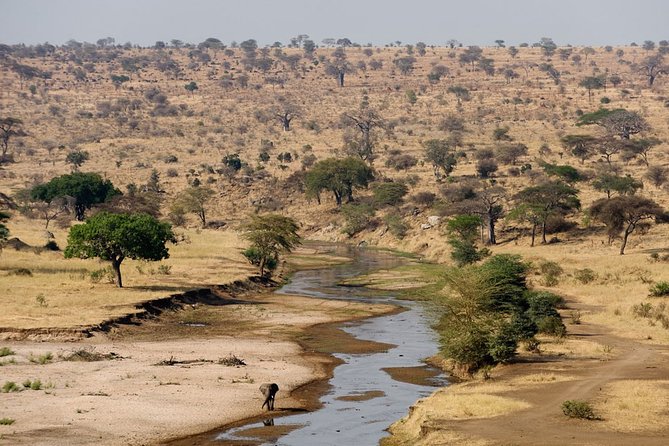 8 Days 7 Nights Tanzania Wildlife & Culture Lodge Safari - Day 7: Lake Eyasi and the cultural side of the route