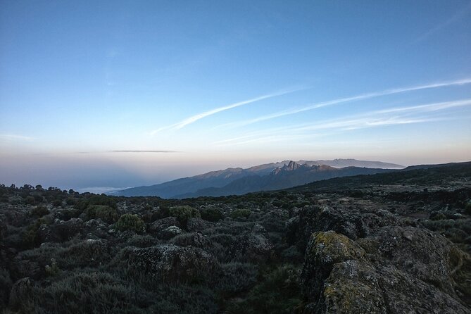 8 Days Climbing Mt.Kilimanjaro (Lemosho Route) - Day 1: Lemosho Gate to Mti Mkubwa Camp