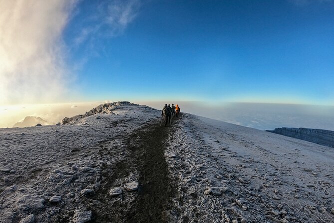 8 Days Climbing Mt.Kilimanjaro (Lemosho Route) - Day 2: Mti Mkubwa to Shira 1