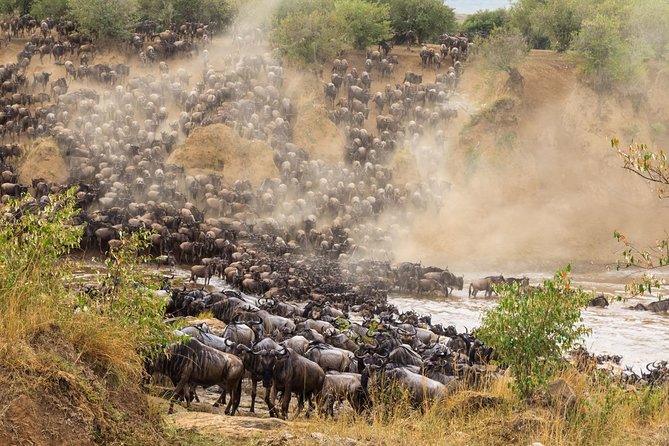 8 Days Great Wildebeest Migration - Mara River Crossing - Day 7: A full day inside Ngorongoro Crater