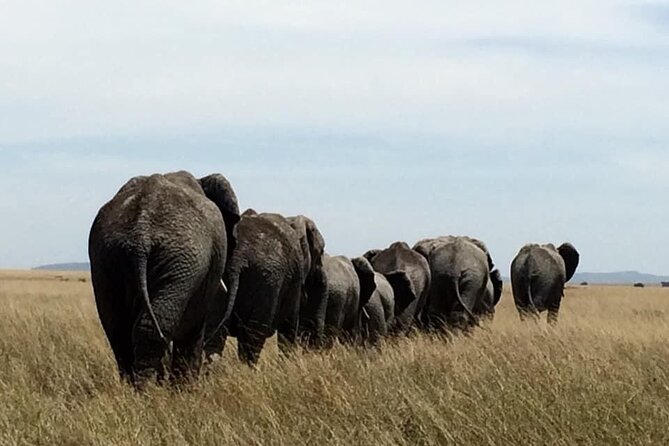 8 Days Green Season Offer - Luxury Serena Safari - Day 1: Arusha gives you a soft landing