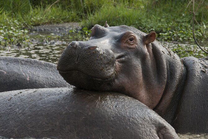 8 Days Green Season Offer - Luxury Serena Safari - Day 3: The road to the Serengeti is part of the story