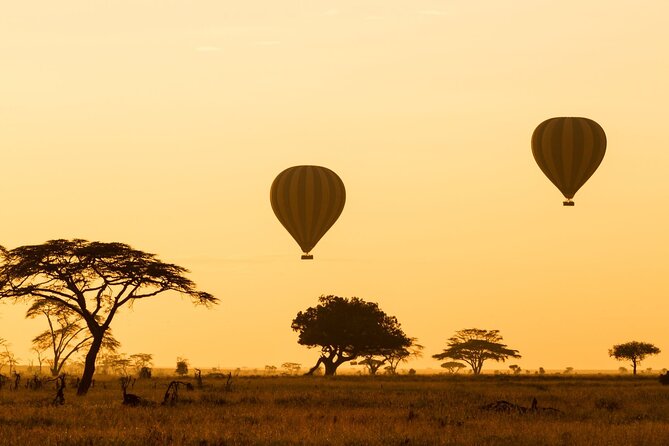 8 Days Green Season Offer - Luxury Serena Safari - Day 2: Lake Manyara brings birds and tree-climbing lions