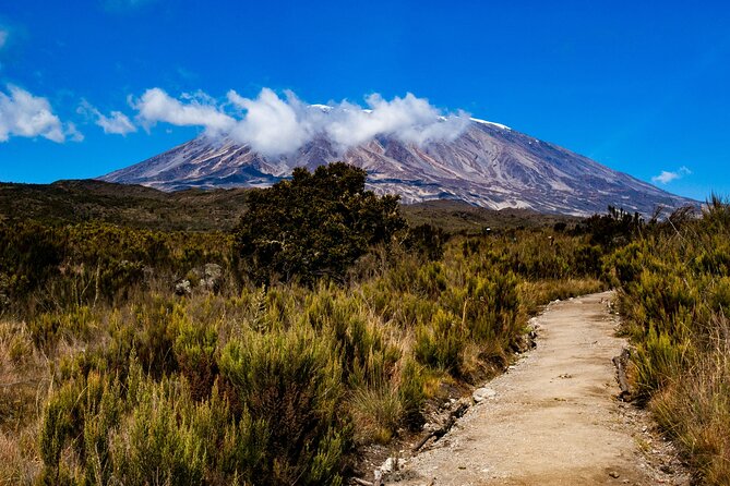 8 Days Guided Private Trekking in Mount Kilimanjaro - Why the private format is useful on Kilimanjaro