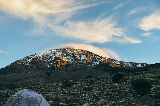 8 Days Guided Private Trekking in Mount Kilimanjaro - Day 2: Rainforest to Shira 1 Camp