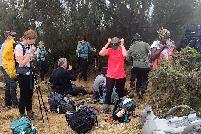 8 Days Guided Private Trekking in Mount Kilimanjaro - Day 5: Barranco to Karanga Camp