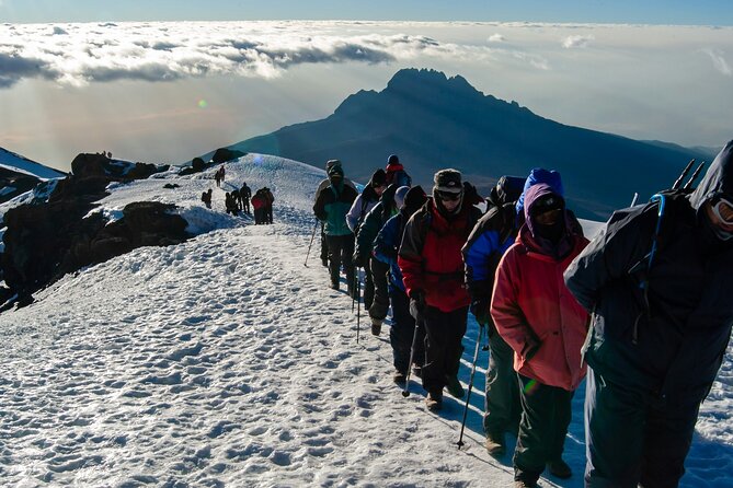 8 Days Guided Private Trekking in Mount Kilimanjaro - Day 1: Londorossi Gate to Mti Mkubwa Camp