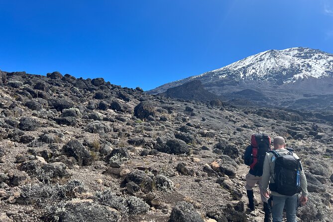 8 Days Kilimanjaro Climbing Lemosho Route - Day 2: Forest edge and Shira 1 Camp